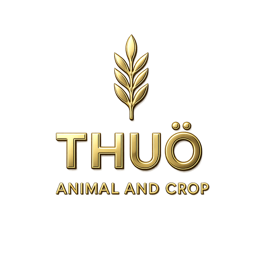 thuo.co.za